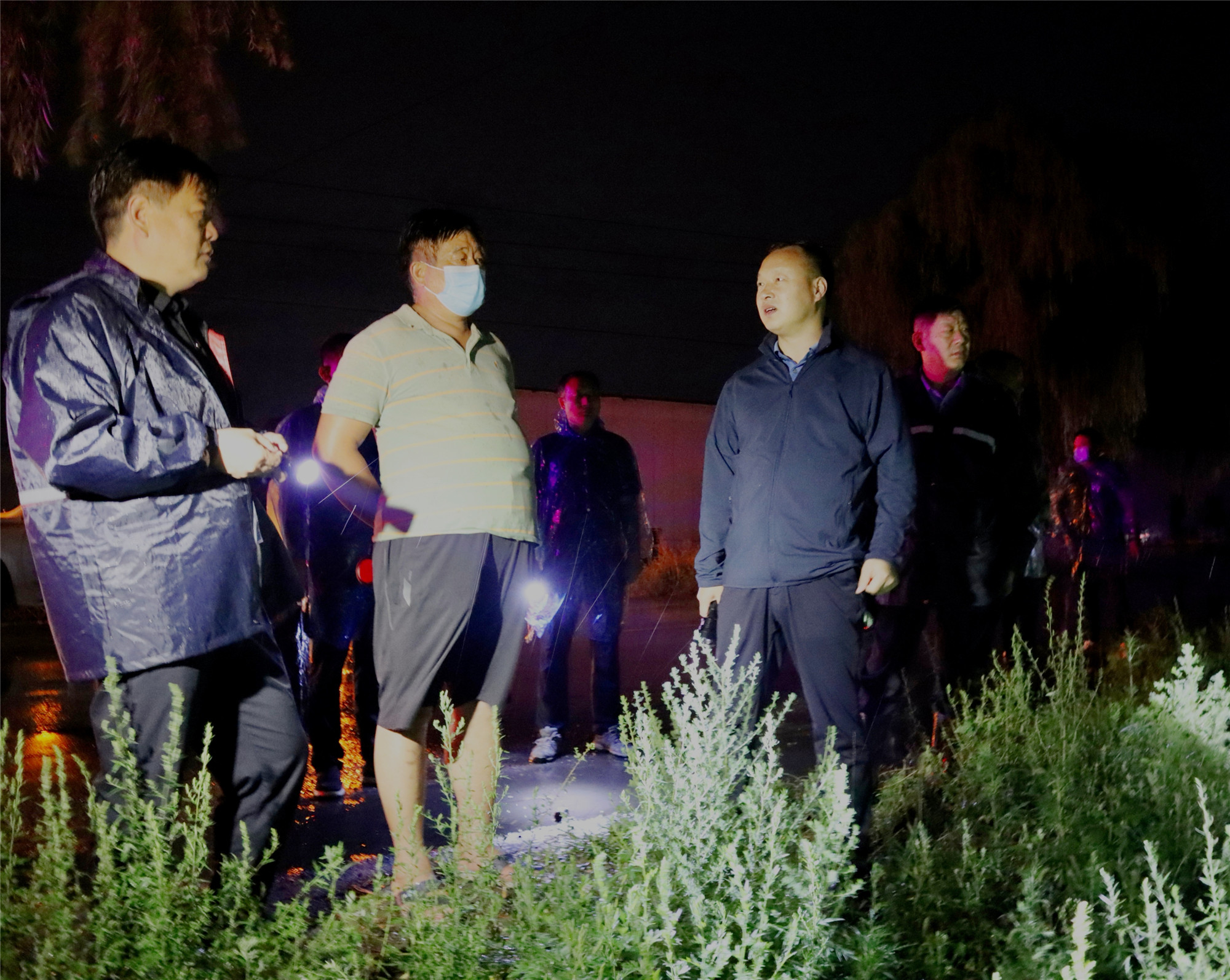 [本地要闻-郏县人民政府门户网站