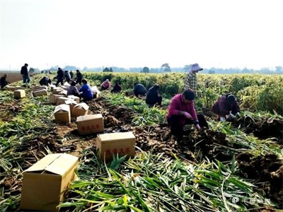 1554145391811615_new_content.jpg 1554145391811615_new_content.jpg