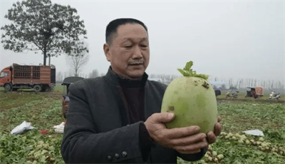 0bdaac91f07a4ad7ba3a97b68b0658f3.png 0bdaac91f07a4ad7ba3a97b68b0658f3.png